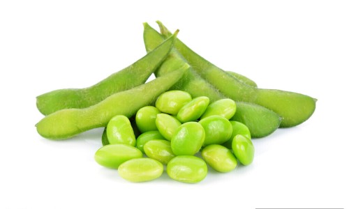 牛脾是啥-牛脾的神奇功效、牛脾是啥 -中药材牛脾的价格网
