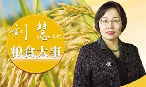 牛脾是啥-牛脾的神奇功效、牛脾是啥 -中药材牛脾的价格网